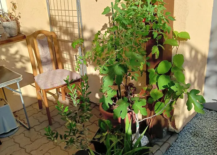 Stella\'S Monteurswohnungen