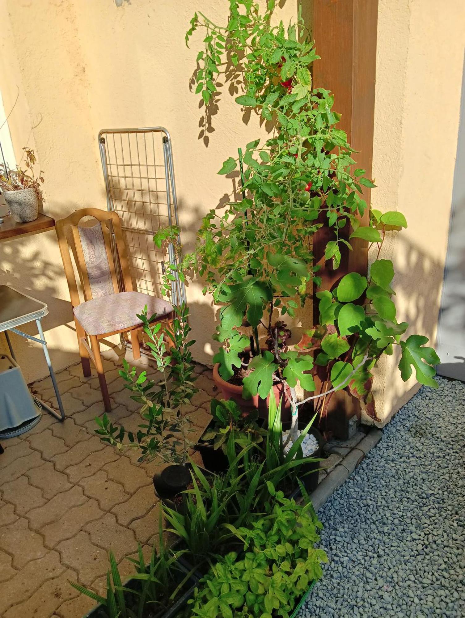 Stella's Monteurswohnungen Crimmitschau